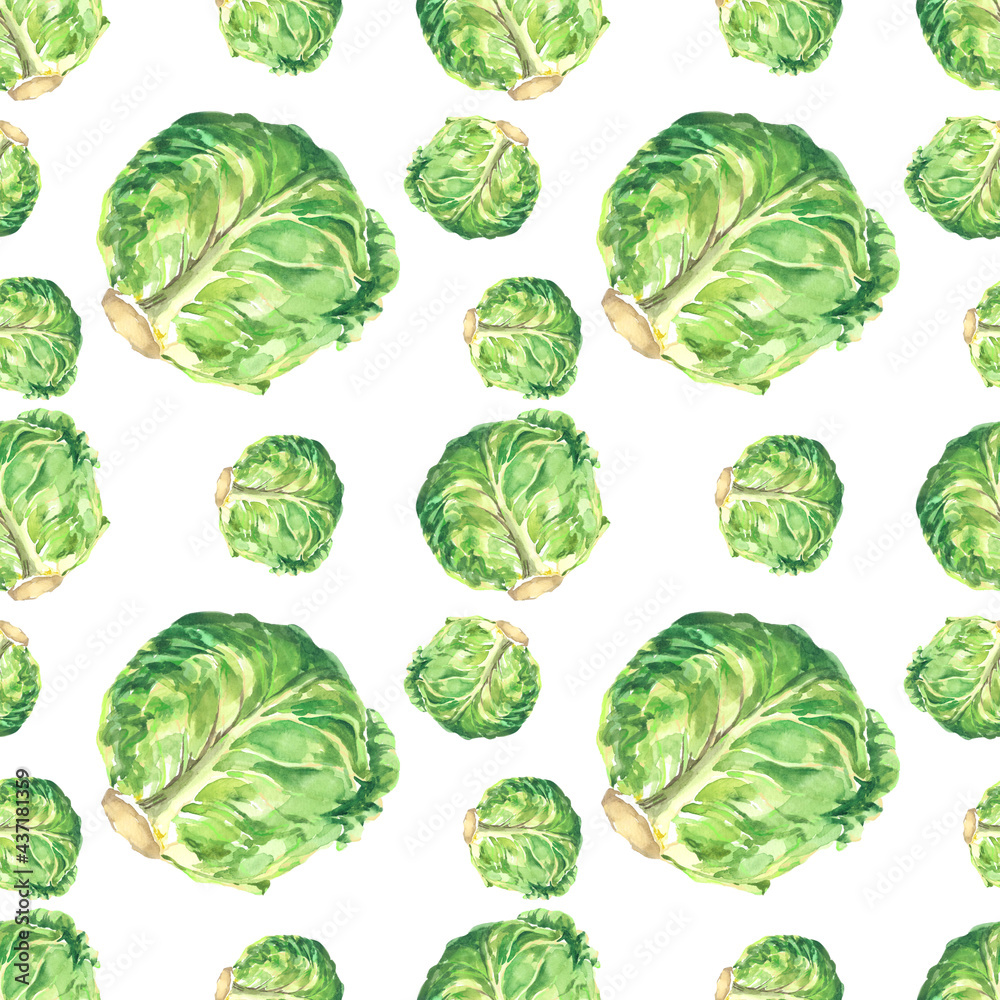 Green cabbage watercolor isolated on white background seamless pattern for all prints. Vegetable pattern. Green cabbage watercolor isolated on white background seamless pattern for all prints. Vegetable pattern.