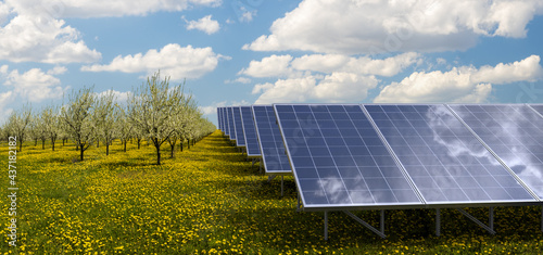 Obraz na płótnie Solar panels in a flowering orchard w salonie