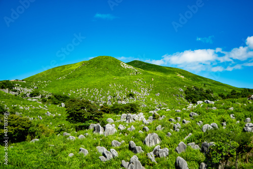 Hirao-dai Karst Plateau in summer