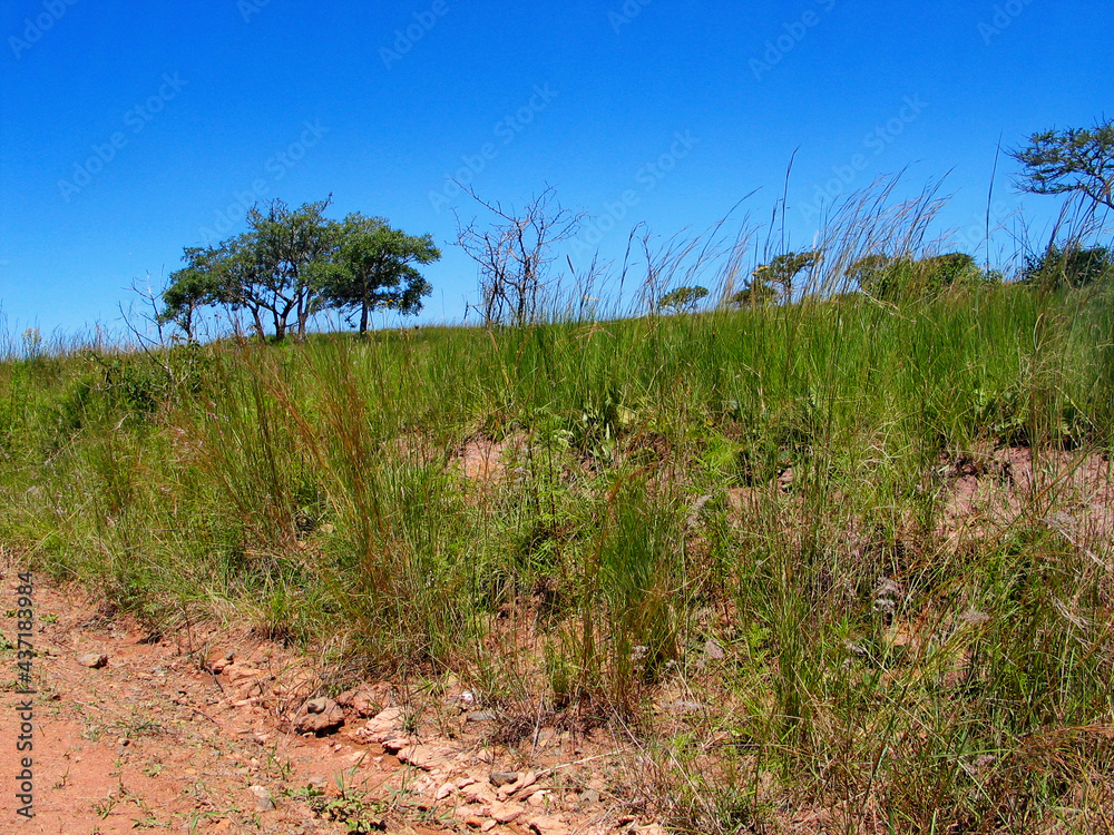 South African Countryside, KwaZulu-Natal South African Countryside, KwaZulu-Natal