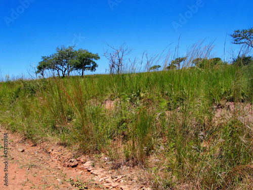 South African Countryside, KwaZulu-Natal 