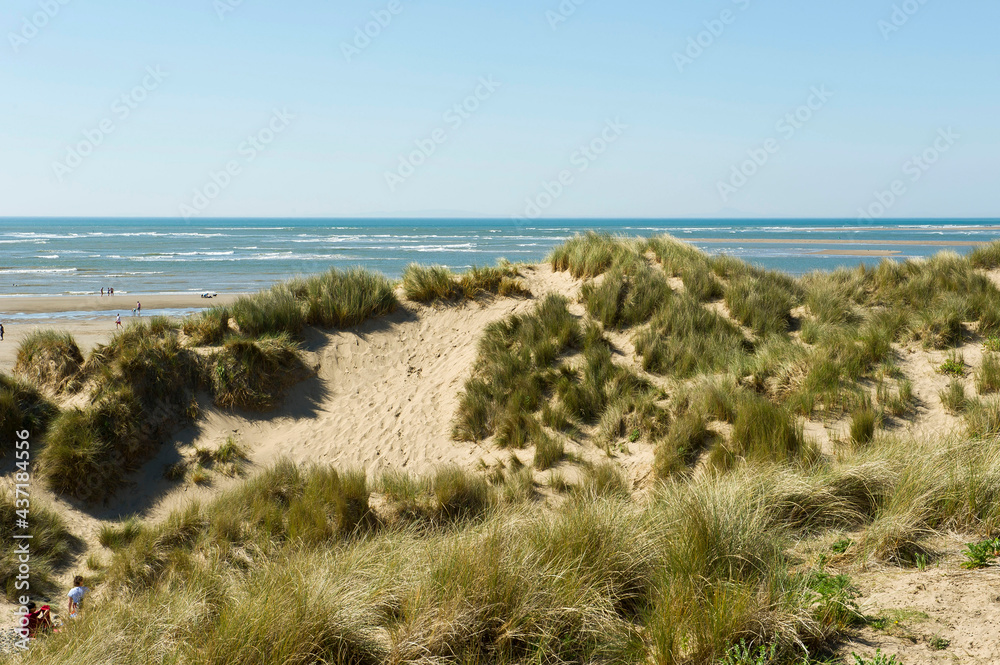 Ynyslas Dunes, Ceredigion, Mid Wales Ynyslas Dunes, Ceredigion, Mid Wales