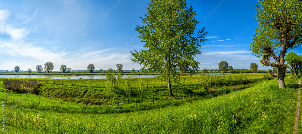 River Landscape Maasbommel, the Netherlands
