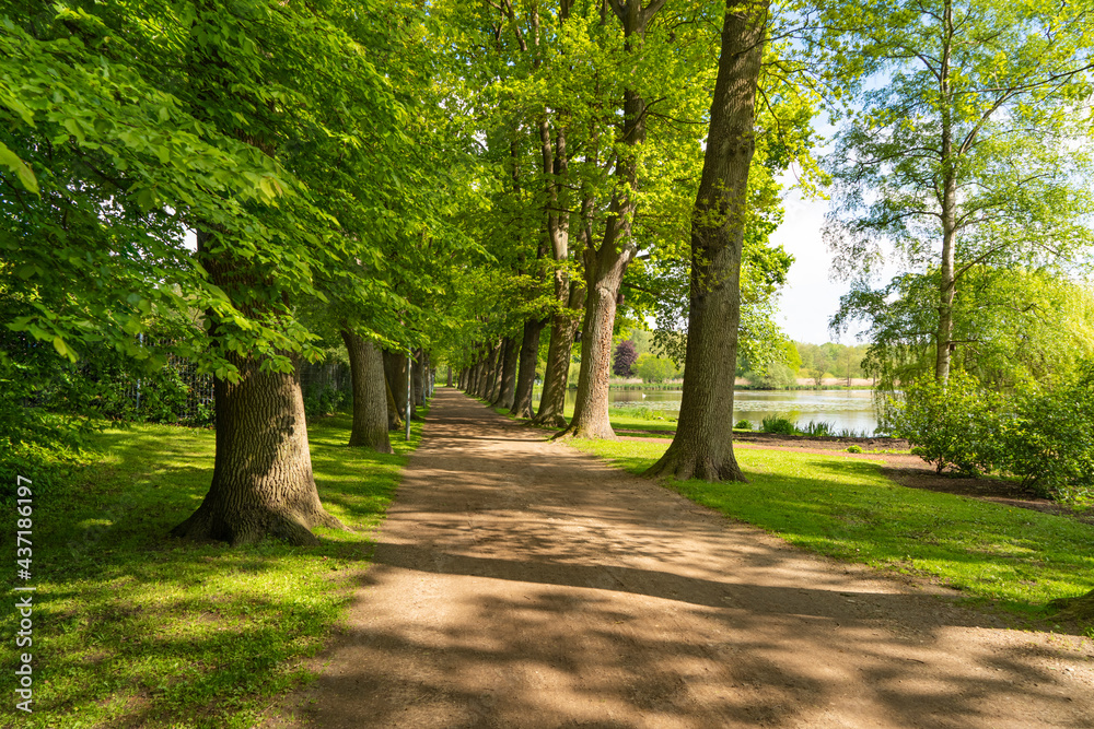 Fototapeta premium Bad Schwartau Kurpark Baum Allee