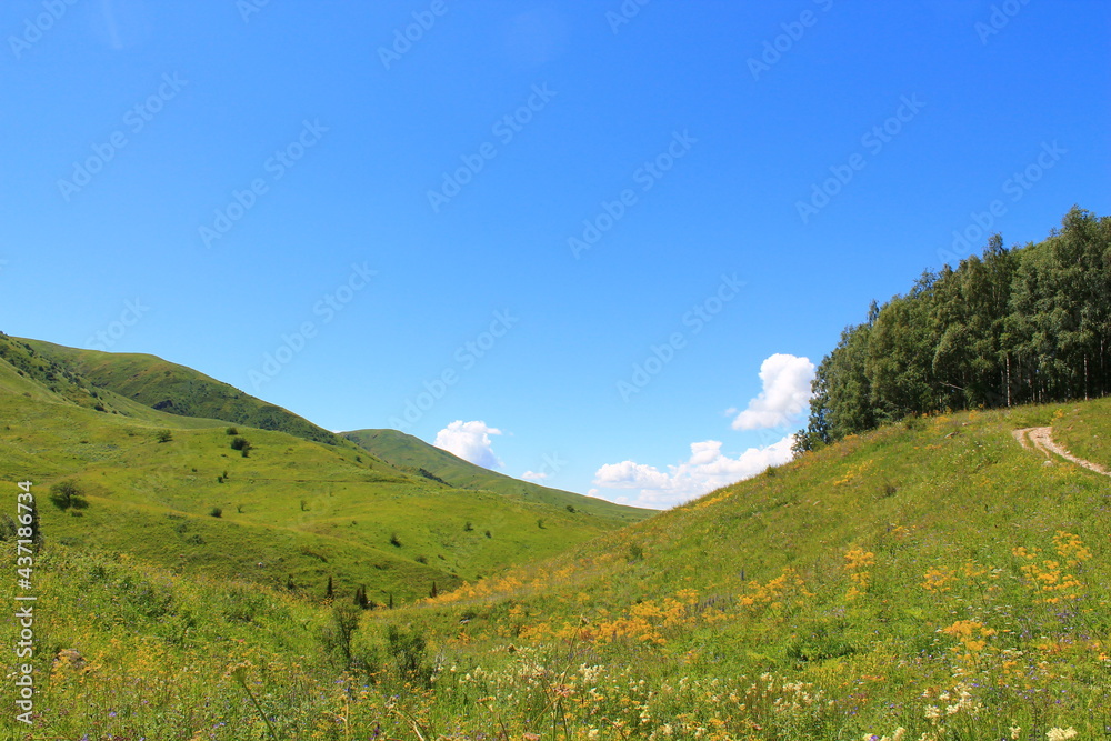 landscape in summer with sky