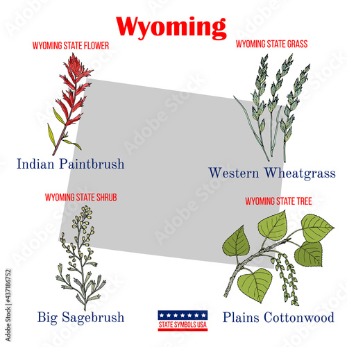Wyoming. Set of USA official state symbols