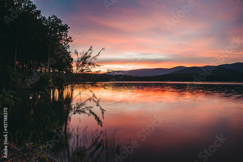 Deep purple and pink sunset reflecting off the lake. A single branch hanging over. Smooth clouds and water.