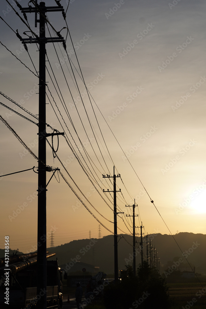 朝日に照らされた電柱