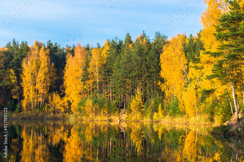 Beautiful forest lake old quarry on a clear autumn day. Forest gave. 