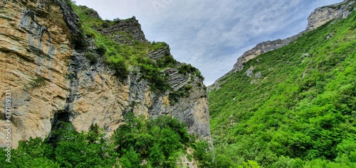 rock wall with trees growing on the steep slopes of the mountain located in a park which is home to a large forest