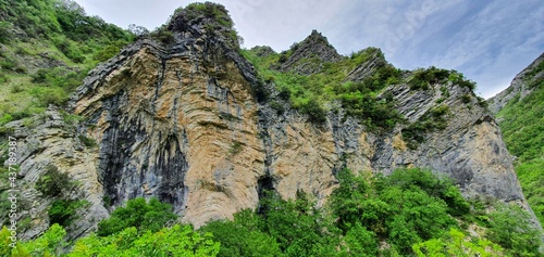 rock wall with trees growing on the steep slopes of the mountain located in a park which is home to a large forest