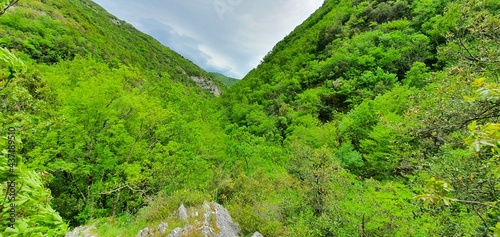 rock wall with trees growing on the steep slopes of the mountain located in a park which is home to a large forest