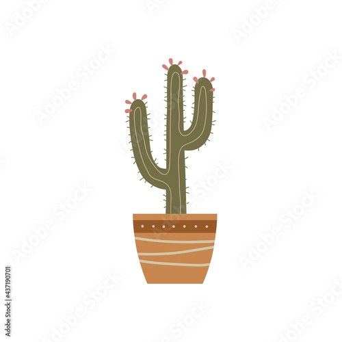 Mexican cactus in flower pot isolated on white background. Modern hand drawn vector illustration