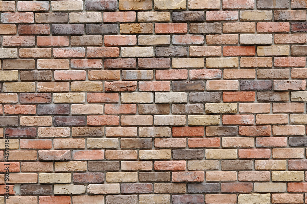 Fototapeta premium 煉瓦の壁