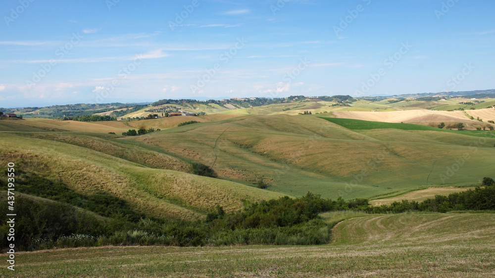 landscape with hills in tuscany