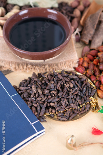 Traditional Chinese Medicine photo