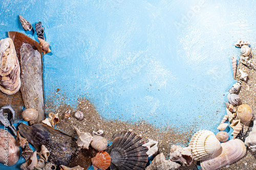 framed seashells background over turquoise 