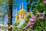 Resurrection church dome of Catherine palace in Pushkin (Tsarskoe Selo) in spring, Saint Petersburg, Russia