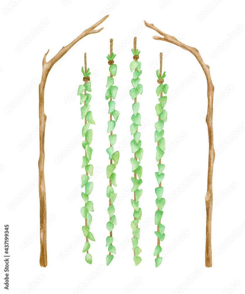 Watercolor wood wedding arch with greenery. Hand drawn bare tree branches and hanging leaves garland isolated on white. Wooden twigs, floral wall decoration, rustic design, eco decor illustration.
