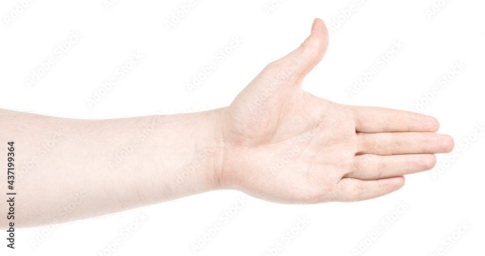 Male caucasian hands isolated white background showing various finger gestures. man hands showing different gestures Male caucasian hands isolated white background showing various finger gestures. man hands showing different gestures