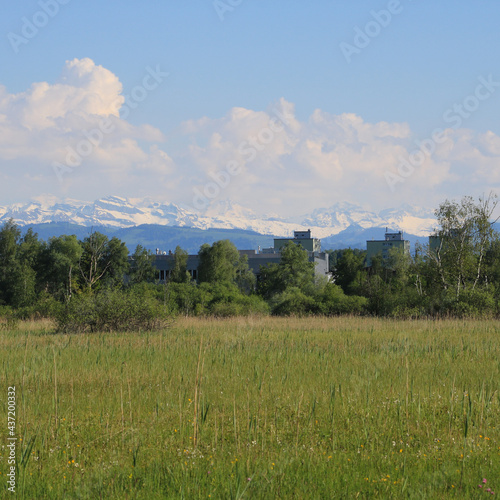 Green nature reserve near Wetzikon, Zurich. photo