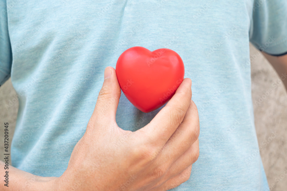 hand holding a red heart on his chest. Healthcare, medicine, cardiology concept. Heart health insurance, organ donation concept. World mental health day. World heart health day. heart selective focus. hand holding a red heart on his chest. Healthcare, medicine, cardiology concept. Heart health insurance, organ donation concept. World mental health day. World heart health day. heart selective focus.