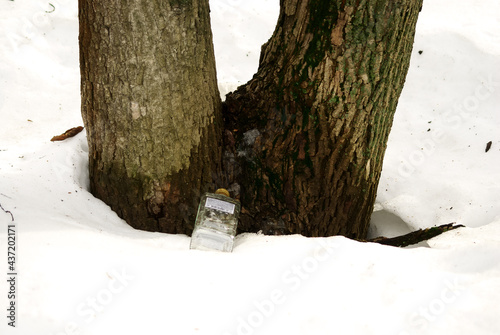 an empty vodka bottle is lying on the snow photo