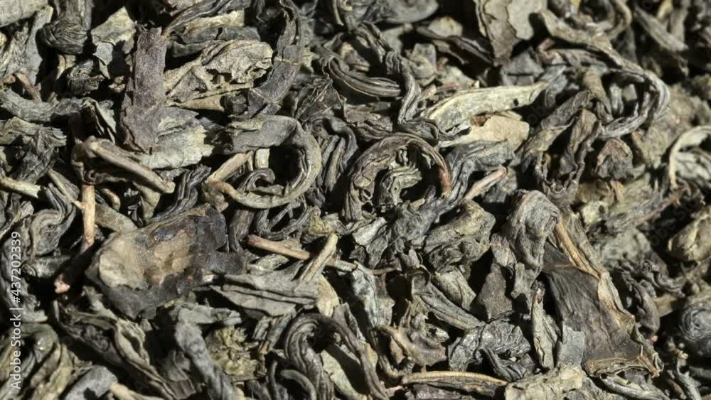 Green Chinese tea gunpowder. Dried coiled leaves close up. Falling. Macro video. Selective focus Green Chinese tea gunpowder. Dried coiled leaves close up. Falling. Macro video. Selective focus