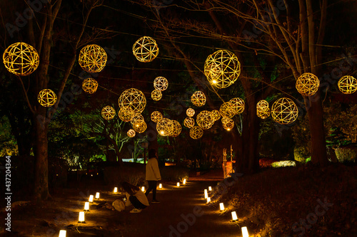 日本庭園(細川刑部邸)「竹灯り・紅葉・夜景・ライトアップ・日本紅葉百選」 Japanese Garden (Hosokawa Penitentiary House) 