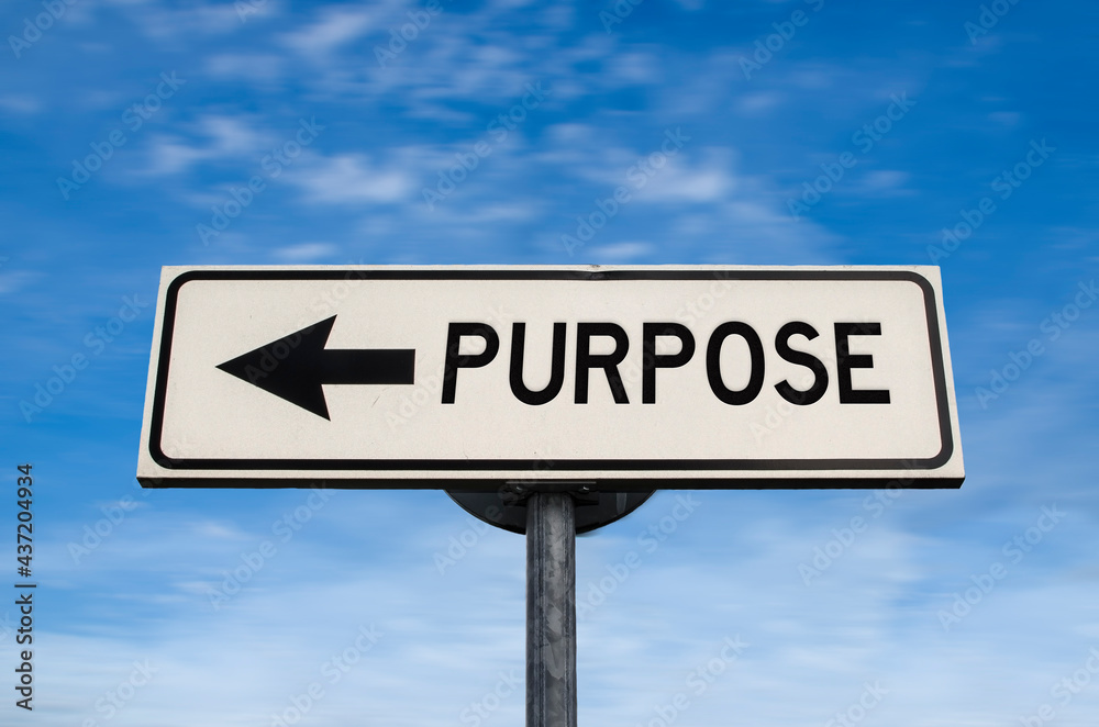 Purpose road sign, arrow on blue sky background. One way blank road sign with copy space. Arrow on a pole pointing in one direction. Purpose road sign, arrow on blue sky background. One way blank road sign with copy space. Arrow on a pole pointing in one direction.