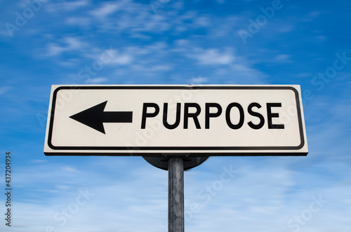 Purpose road sign, arrow on blue sky background. One way blank road sign with copy space. Arrow on a pole pointing in one direction.