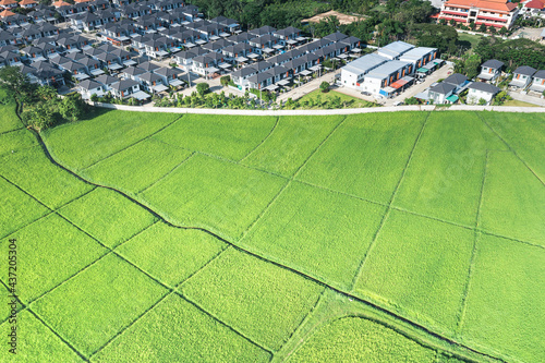 Land or landscape of green field in aerial view. Include agriculture farm, house building, village. That real estate or property. Plot of land for housing subdivision, development, sale or investment.