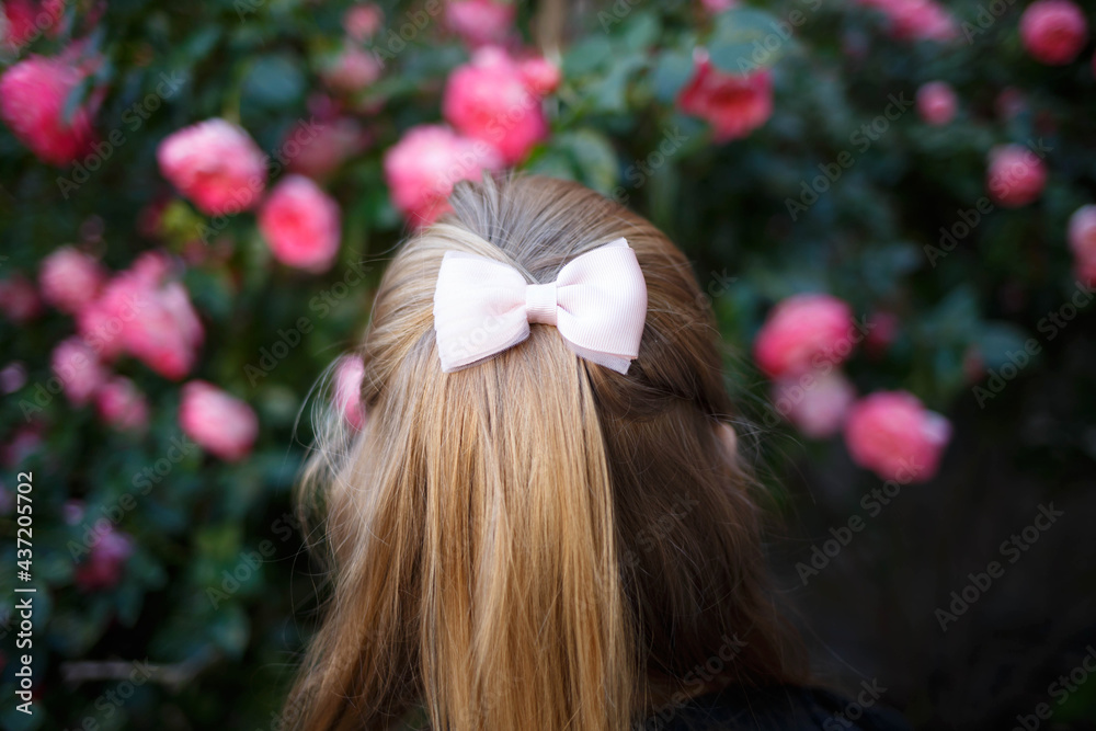 Naklejka premium portrait of a little cute girl on the background of bushes of pink roses. back view