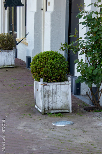 entrance to the house