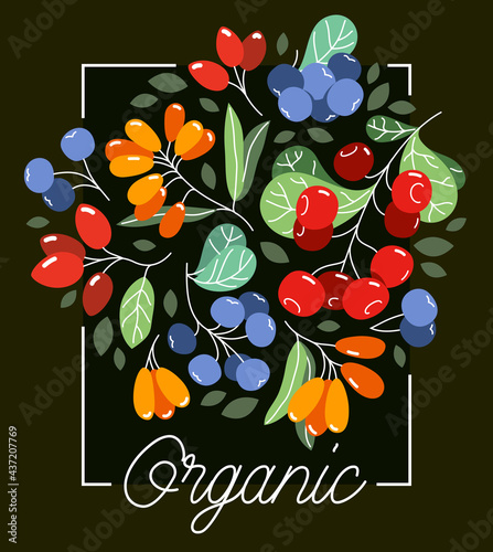 Wild berries fresh and ripe tasty healthy food vector flat style illustration over dark background, delicious vegetation diet eating, organic food.