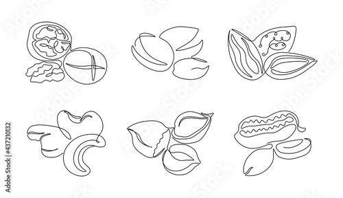 One line nuts. Continuous line healthy nutrition, walnuts pistachios hazelnut peanut cashew monoline nut set. Vector isolated lines