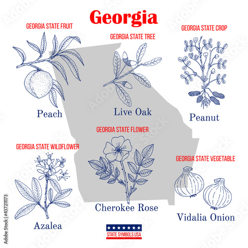 Georgia. Set of USA official state symbols photo