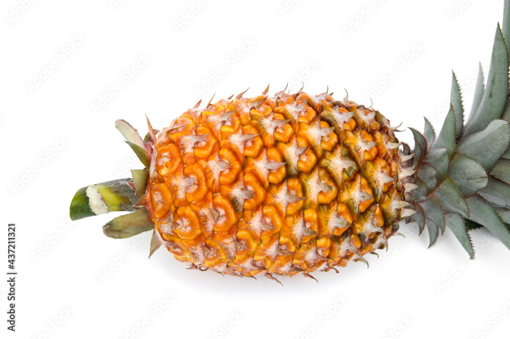 Pineapple fresh fruit isolated on white background.