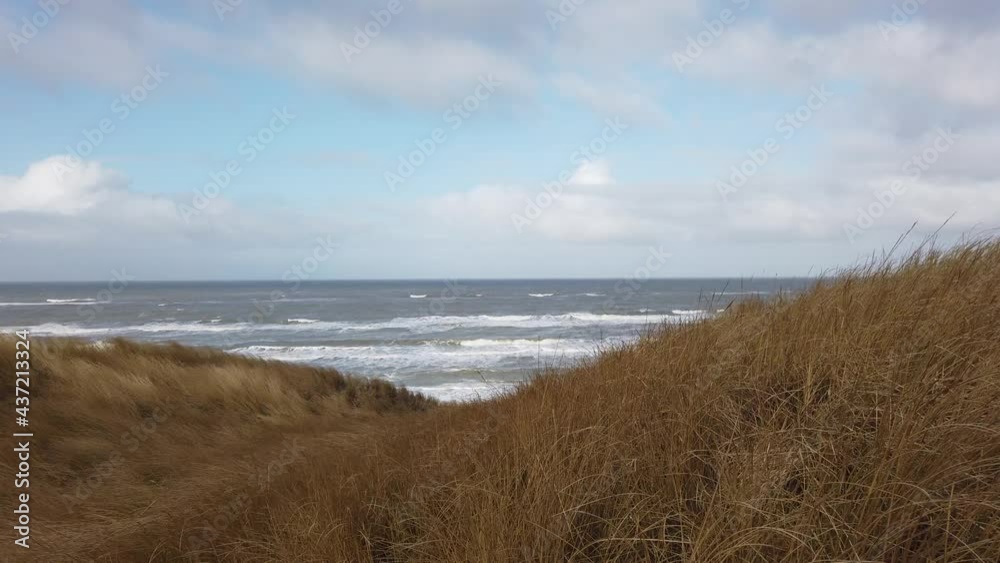 danish coastline with dune grass danish coastline with dune grass