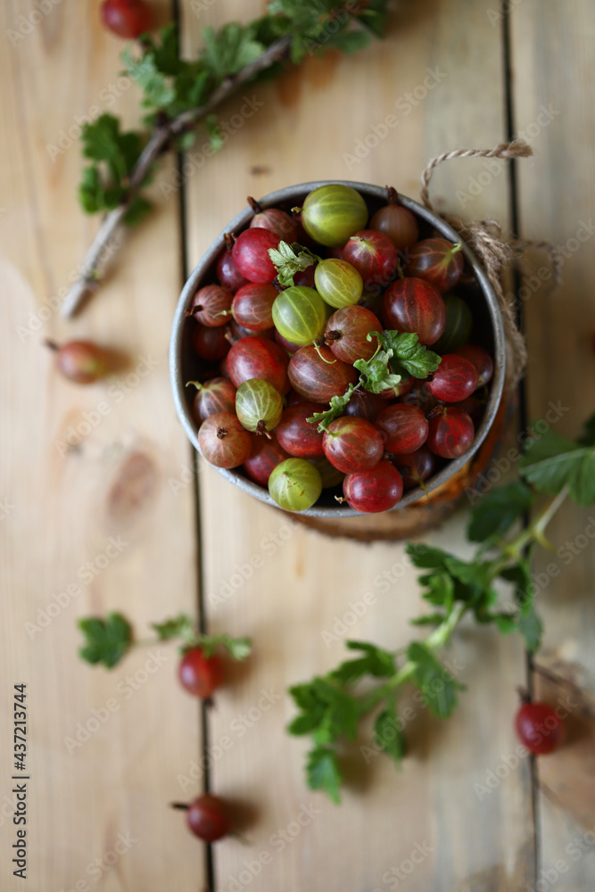 Fresh gooseberries in a bowl on a wooden surface. Gooseberry leaves. Gooseberry harvest. Fresh gooseberries in a bowl on a wooden surface. Gooseberry leaves. Gooseberry harvest.