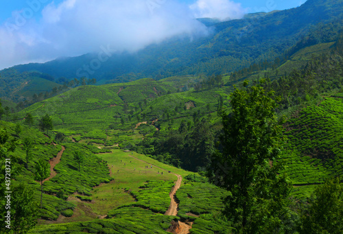 KANTHALOOR WONDERFULL PLACE IN KERALA ,IDUKKU AMAZING VIEW PONTS ,WATERFALL FRESH FRUITS FAMING VEGETABLE FAMING GREAT CLIMATE .