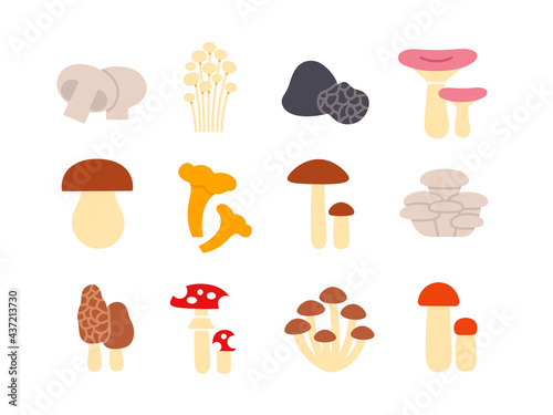 Mushrooms icon set. Vector isolated flat color icons. Glyph design. Illustrations of champignon enoki truffle russula porcini cep chanterelle oyster morel fly agaric honey toadstool birch bolete