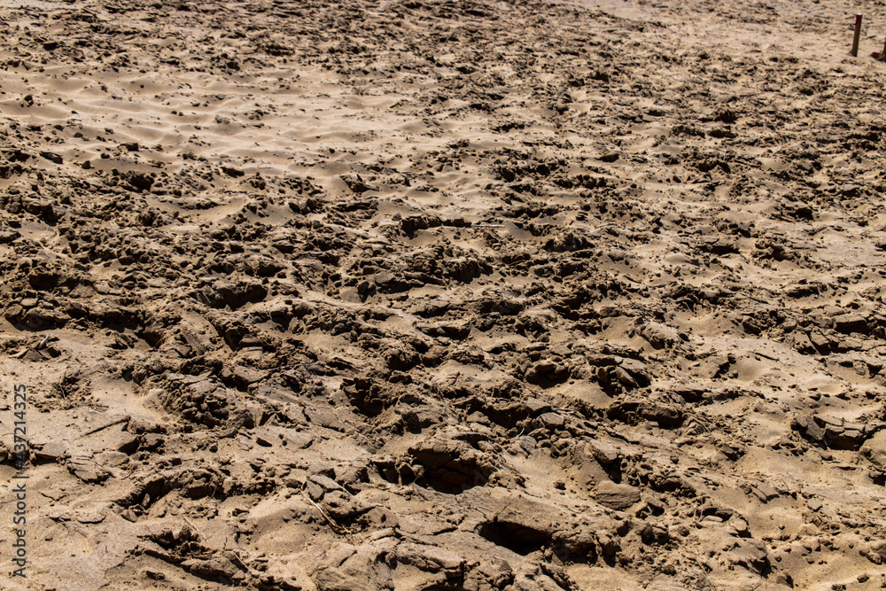 Closeup surface of sand dune in dark mood. The field is roughly tramped and there are many cracks on the surface.