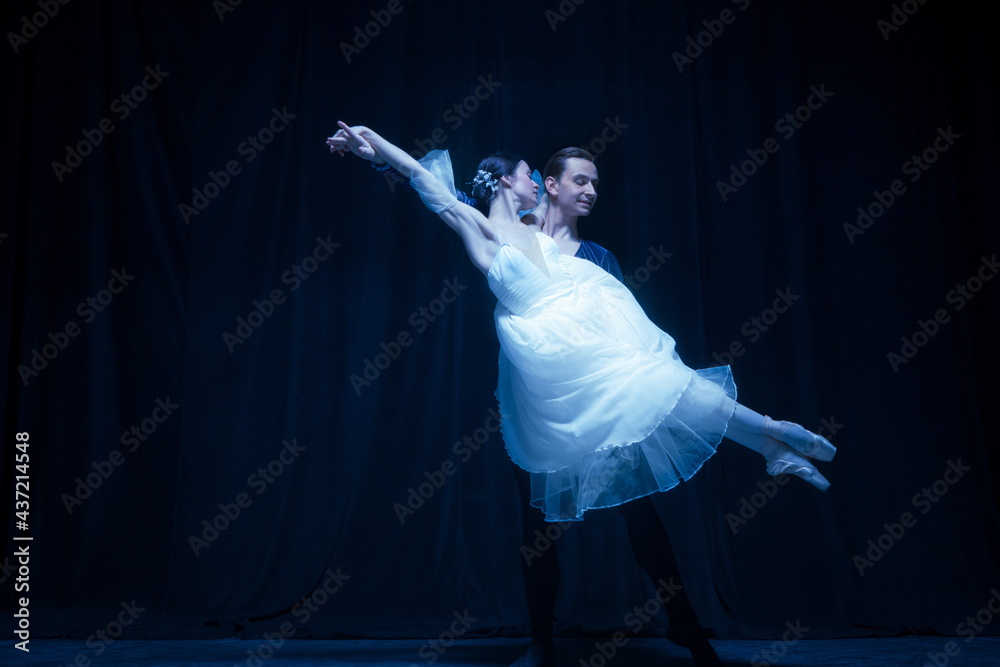 Graceful balerina in image of ghost bride with patner in art ballet  performance isolated over dark background. Stock Photo | Adobe Stock