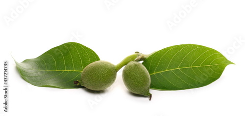 Wallpaper Mural Young green walnut nuts and leaves isolated on white background Torontodigital.ca