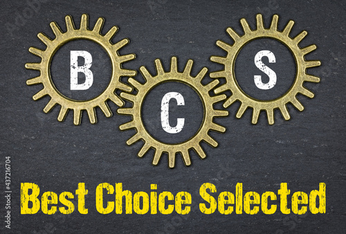 BCS / Best Choice Selected photo