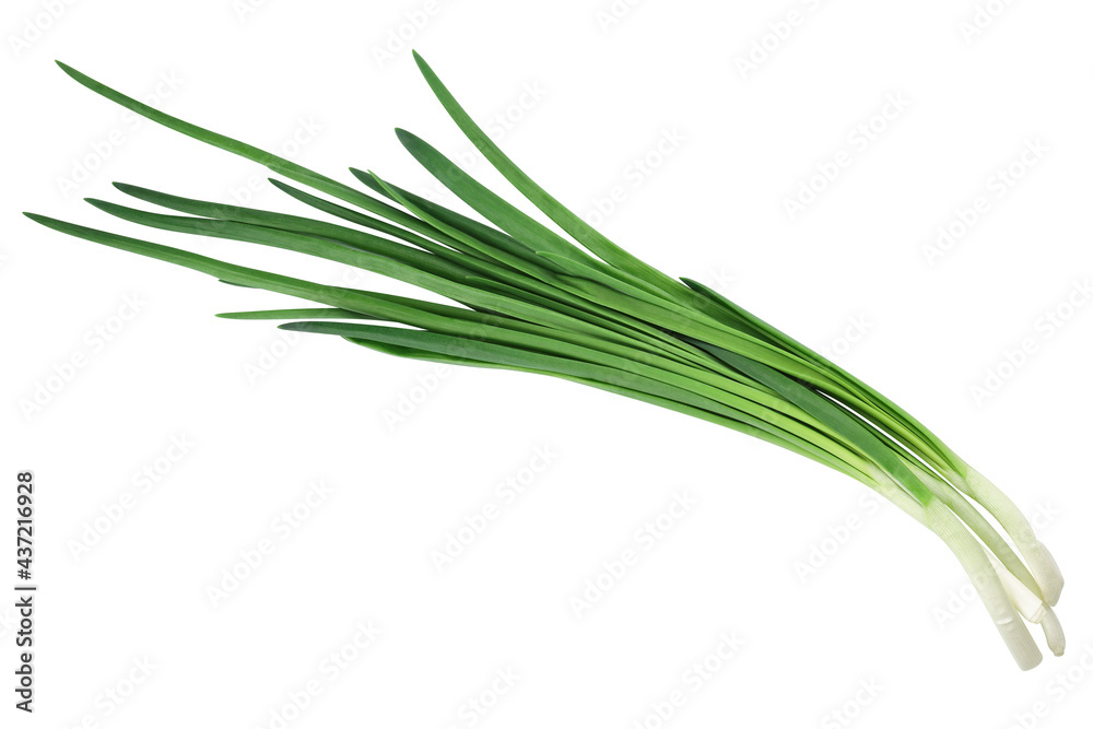Bunch of green onions Isolated on white background, top view. Bunch of green onions Isolated on white background, top view.