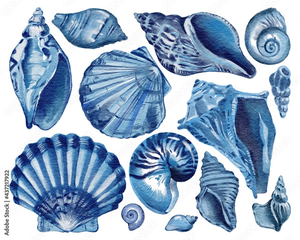 Set of blue seashells - conch, shell, and cockle-shell. Sea shells watercolor hand drawn illustration set isolated on white background for banner, poster, print, postcard, textile, template, card - obrazy, fototapety, plakaty 