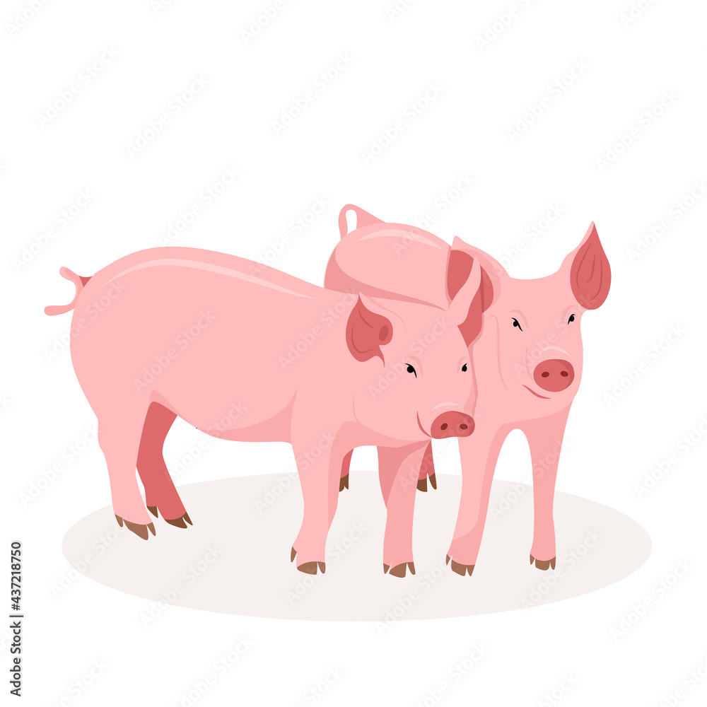 Fototapeta premium Two cute pigs. Country pet. Isolated character on a white background. Vector illustration in a flat style.