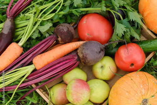 ripe fresh vegetables and fruits, apples, beets, zucchini, eggplant, carrots, tomato, pumpkin, harvest